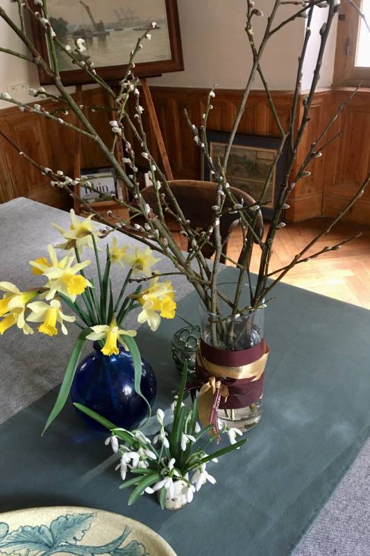 Premières fleurs et bourgeons...